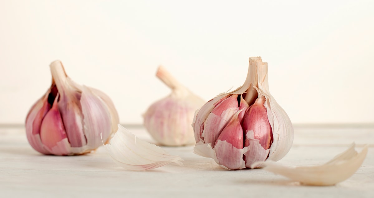 Wurmbefall durch rohe Fleischprodukte – Helminthen-Infektionen