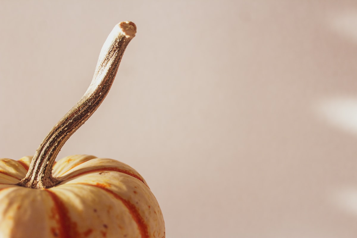 Ernährungsratgeber für Parasitenprävention